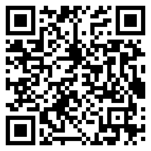 Security-hol-Survey-qr-code